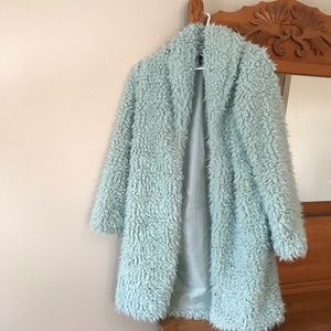 Faux Fur Coat in Mint